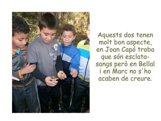 Aquests dos tenen
 molt bon aspecte,
en Joan Capó troba
  que són esclata-
sangs però en Bellal
 i en Marc no s'ho
 acaben...