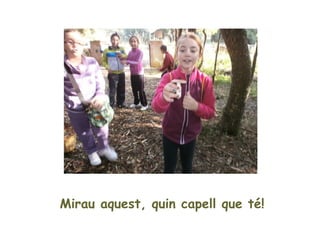 Mirau aquest, quin capell que té!
 