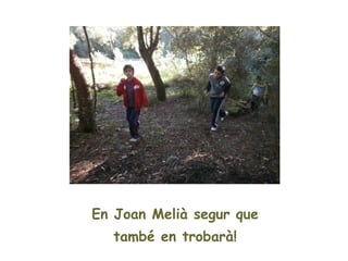 En Joan Melià segur que
  també en trobarà!
 