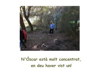 N'Óscar està molt concentrat,
    en deu haver vist un!
 
