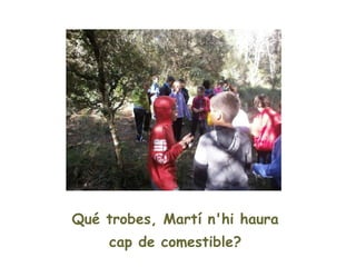 Qué trobes, Martí n'hi haurà
     cap de comestible?
 