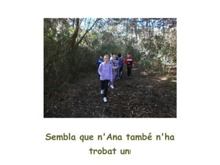 Sembla que n'Ana també n'ha
         trobat un!
 