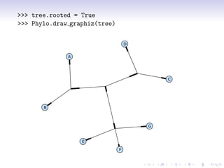 >>> tree.rooted = True
>>> Phylo.draw graphiz(tree)

                                   D
              A


                                           C



       B

                                       G

                  E
                               F
 