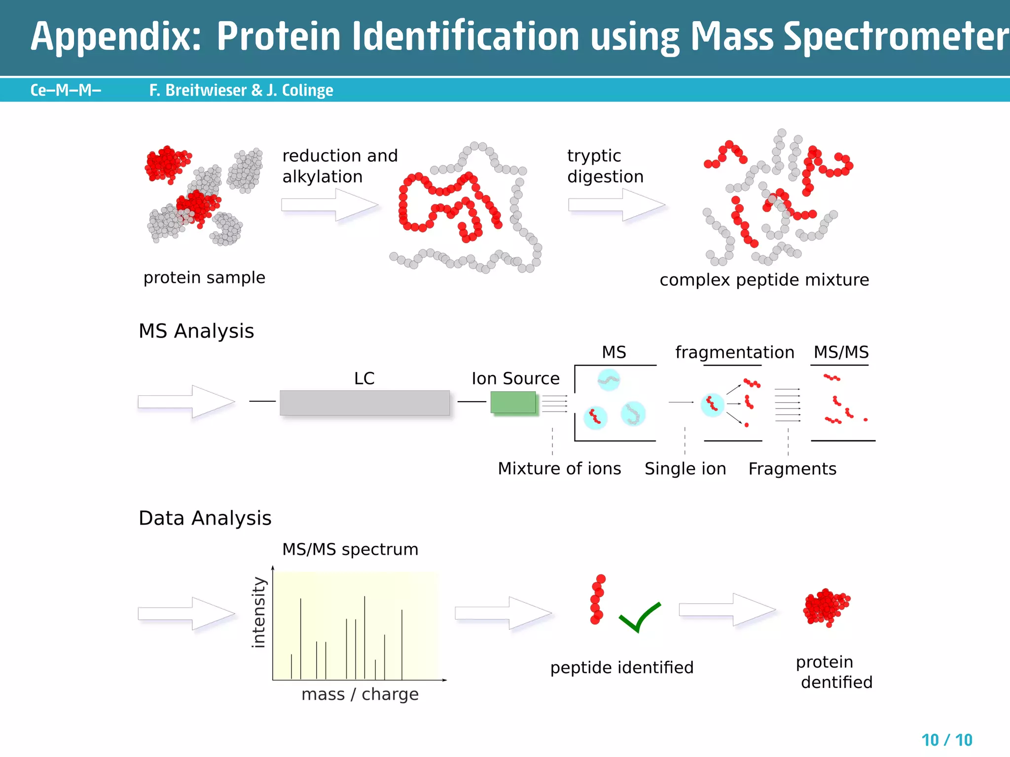 Appendix: Protein Identification using Mass Spectrometer
Ce—M—M—   F. Breitwieser  J. Colinge




                                                  10 / 10
 