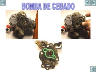 BOMBA DE CEBADO 1 BOMBA DE CEBADO 