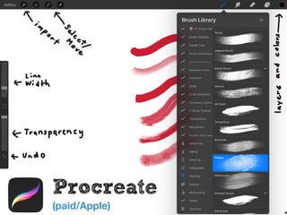 Procreate
(paid/Apple)
 