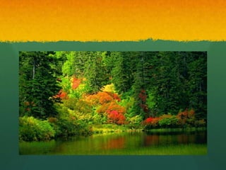 RecomenacionsCuida molt be els arbres perquè  et donen moltes coses:Donen oxigen