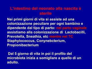 L’intestino del neonato alla nascita è
sterile
Nei primi giorni di vita si assiste ad una
colonizzazione peculiare per ogni bambino e
dipendente dal tipo di parto: nel parto vaginale
assistiamo alla colonizzazione di Lactobacilli,
Prevotella, Sneathia, etc mentre nel TC
Staphylococcus, Conynebcterium,
Propionibacterium
Dal 5 giorno di vita in poi il profilo del
microbiota inizia a somigliare a quello di un
adulto.
 
