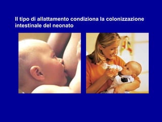 Il tipo di allattamento condiziona la colonizzazione
intestinale del neonato
 