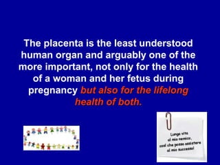 The placenta is the least understood
human organ and arguably one of the
more important, not only for the health
of a woman and her fetus during
pregnancy but also for the lifelong
health of both.
 