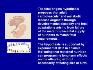 The fetal origins hypothesis
proposes that adult
cardiovascular and metabolic
disease originate through
developmental plasticity and fetal
adaptations arising from failure
of the materno-placental supply
of nutrients to match fetal
requirements.
The hypothesis is supported by
experimental data in animals
indicating that maternal nutrition
can programme long term effects
on the offspring without
necessarily affecting size at birth.
 
