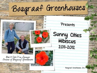 Presents Sunny Cities Hibiscus2011-2012 Bosgraaf Greenhouses, Inc. • July 2011 