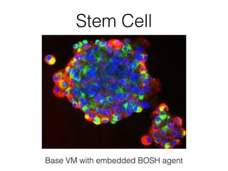 Stem Cell
Base VM with embedded BOSH agent
 