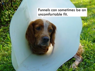 Engineering the Evaluation Funnel Pecha Kucha