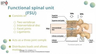Biomechanical Principles and Applications of Spinal Orthosis for Spine ...