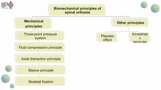 Biomechanical Principles and Applications of Spinal Orthosis for Spine ...