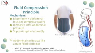 Biomechanical Principles and Applications of Spinal Orthosis for Spine ...