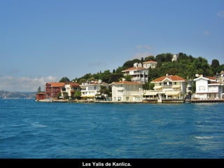 Les Yalis de Kanlica.

 
