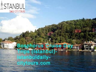 TITLE
Bosphorus Cruise Day
Trips (Istanbul)-
istanbuldaily-
citytours.com
 