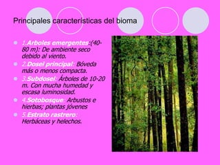 Principales características del bioma1.Arboles emergentes:(40-80 m): De ambiente seco debido al viento.2.Dosel principal: Bóveda más o menos compacta.3.Subdosel: Árboles de 10-20 m. Con mucha humedad y escasa luminosidad.4.Sotobosque: Arbustos e hierbas; plantas jóvenes 5.Estrato rastrero: Herbáceas y helechos..