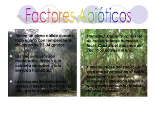 .Tienen un clima cálido durante todo el año con temperaturas de cerca de 22-34 grados.Las temperaturas son moderadas, debido a la cubierta de nubes y a la elevada humedad.Los bosques lluviosos están sujetos a intensas lluvias en el año, por lo menos 2,000 mm.Humedad: Cubierta constante de nubes, intensa humedad local. Cada árbol transpira de 760 litros de agua al año.Características del suelo: La roca que se origina en el suelo experimenta un intenso proceso de alteración química que genera un manto de roca de gran espesor.Factores Abióticos