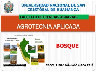 AGROTECNIA APLICADA
M.Sc. YURI GÁLVEZ GASTELÚ
UNIVERSIDAD NACIONAL DE SAN
CRISTÓBAL DE HUAMANGA
BOSQUE
FACULTAD DE CIENCIAS AGRARIAS
 