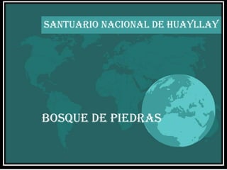 SANTUARIO NACIONAL DE HUAYLLAY BOSQUE DE PIEDRAS 