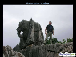 Otra recuerda a un elefante.
 