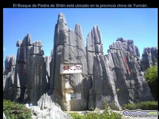 El Bosque de Piedra de Shilin está ubicado en la provincia china de Yunnán.
 