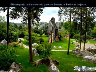 El buen gusto ha transformado parte del Bosque de Piedra en un jardín.
 