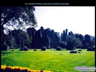 La verde hierba suaviza el pétreo paisaje.
 