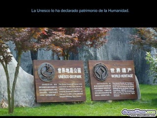 La Unesco lo ha declarado patrimonio de la Humanidad.
 