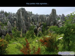 Hay partes más agrestes…
 