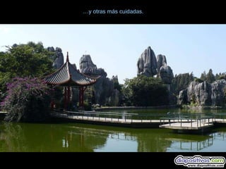 …y otras más cuidadas.
 