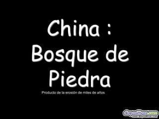 China :
Bosque de
 Piedra
 Producto de la erosión de miles de años
 
