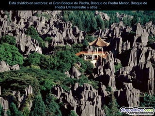 Está dividido en sectores: el Gran Bosque de Piedra, Bosque de Piedra Menor, Bosque de
                               Piedra Ultraterrestre y otros…
 