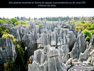 Son piedras enormes en forma de agujas cuya existencia es de unos 270
                          millones de años.
 
