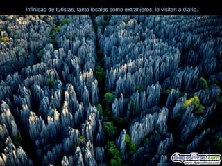 Infinidad de turistas, tanto locales como extranjeros, lo visitan a diario.
 