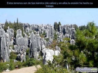 Estos terrenos son de tipo kárstico (de caliza) y en ellos la erosión ha hecho su
                                     trabajo.
 