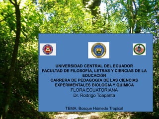 UNIVERSIDAD CENTRAL DEL ECUADOR
FACULTAD DE FILOSOFÍA, LETRAS Y CIENCIAS DE LA
EDUCACIÓN
CARRERA DE PEDAGOGÍA DE LAS CIENCIAS
EXPERIMENTALES BIOLOGÍA Y QUÍMICA
FLORA ECUATORIANA
Dr. Rodrigo Toapanta
TEMA: Bosque Húmedo Tropical
 