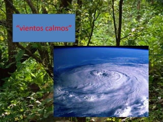 “vientos calmos”
 