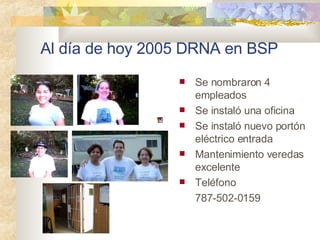Al d ía de hoy 2005 DRNA en BSP <ul><li>Se nombraron 4 empleados </li></ul><ul><li>Se instaló una oficina </li></ul><ul><l...