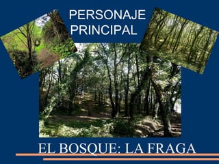 PERSONAJE
PRINCIPAL
EL BOSQUE: LA FRAGA
 