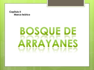 Capítulo II
Marco teórico
 