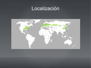 Localización
 