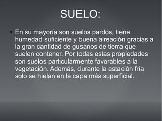 ● En su mayoría son suelos pardos, tiene
humedad suficiente y buena aireación gracias a
la gran cantidad de gusanos de tierra que
suelen contener. Por todas estas propiedades
son suelos particularmente favorables a la
vegetación. Además, durante la estación fría
solo se hielan en la capa más superficial.
SUELO:
 