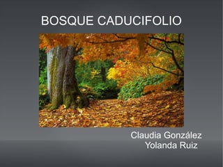 BOSQUE CADUCIFOLIO
Claudia González
Yolanda Ruiz
 