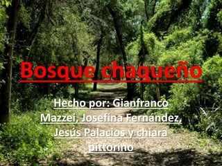 Bosque chaqueño 
Hecho por: Gianfranco 
Mazzei, Josefina Fernández, 
Jesús Palacios y chiara 
pittorino 
 