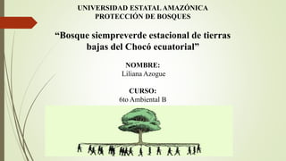 UNIVERSIDAD ESTATAL AMAZÓNICA
PROTECCIÓN DE BOSQUES
“Bosque siempreverde estacional de tierras
bajas del Chocó ecuatorial”
NOMBRE:
Liliana Azogue
CURSO:
6to Ambiental B
 