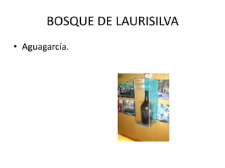 BOSQUE DE LAURISILVA
• Aguagarcía.

 